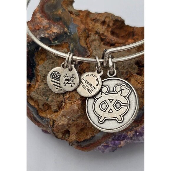 Alex and Ani Silver Tone Blackhawk Charm Bangle Bracelet Designer Jewelry - Picture 2 of 5